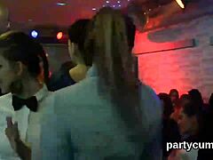 Noite de clube: Garotas quentes dançando e chupando pau