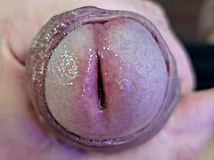 Intimate view of the head of my penis